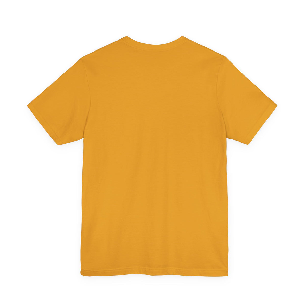 Full Transparency Raccoon - Corporate Humor T-Shirt