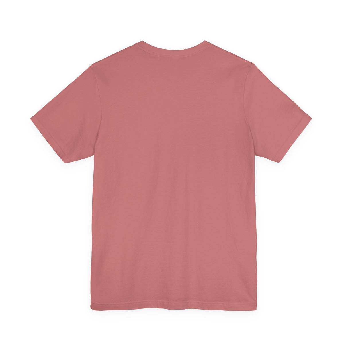 Full Transparency Raccoon - Corporate Humor T-Shirt